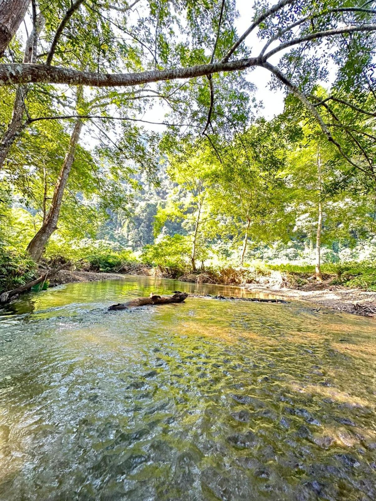 Mingkhuan Eco Homestay Nongkhiaw 外观 照片