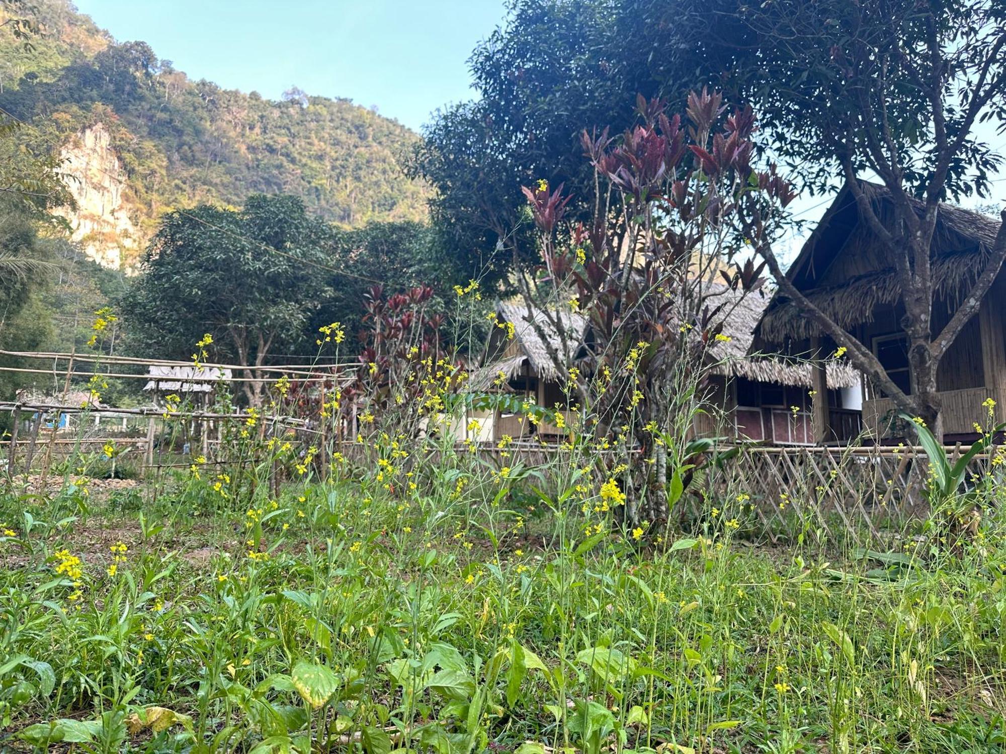 Mingkhuan Eco Homestay Nongkhiaw 外观 照片